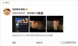 晨曦姐姐视频爆料,揭秘娱乐圈幕后真相