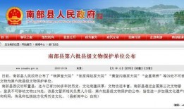南部县新闻头条爆料栏目,揭秘最新爆料，聚焦热点事件