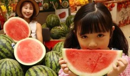 吃瓜视频最全免费,最全免费内容大揭秘，带你领略娱乐新境界